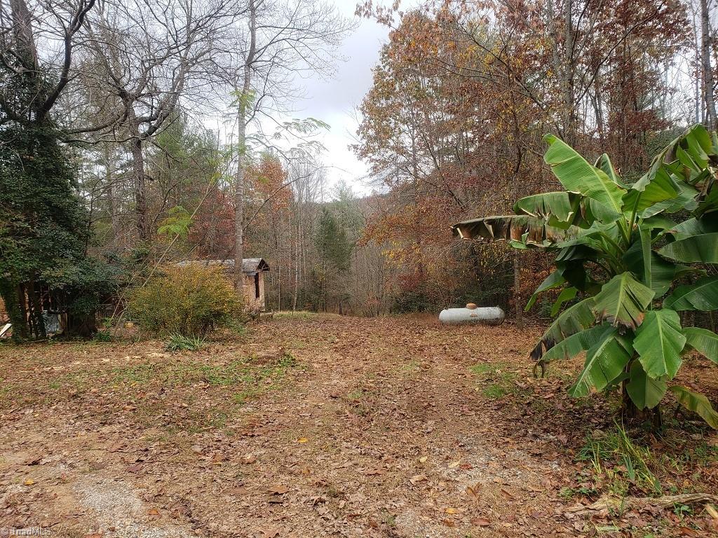 1576 Boone Gap Road Boomer, NC 28606 - Photo 13 of 22 Gallery Image 13