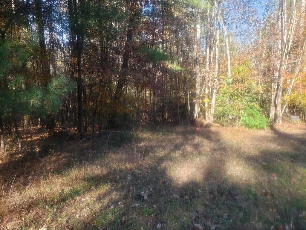 1576 Boone Gap Road Boomer, NC 28606 - Photo 7 of 22 Gallery Image 7