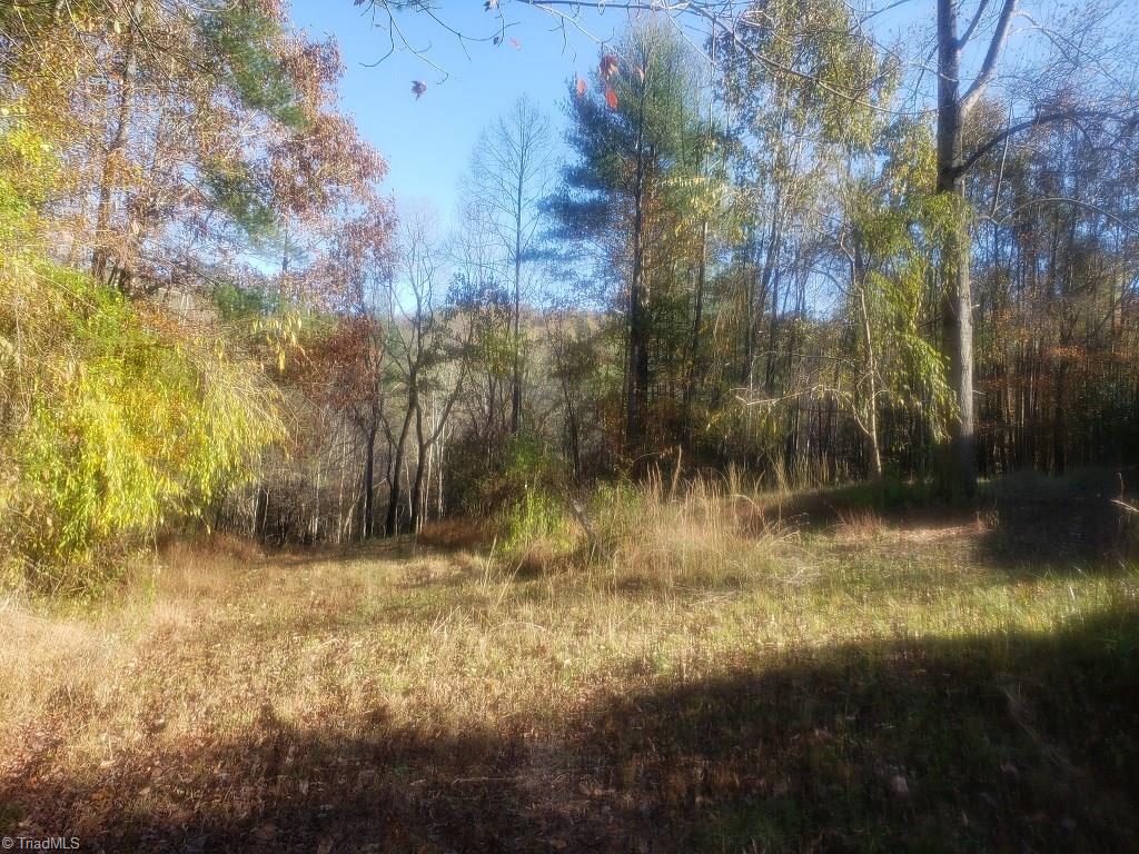 1576 Boone Gap Road Boomer, NC 28606 - Photo 8 of 22 Gallery Image 8