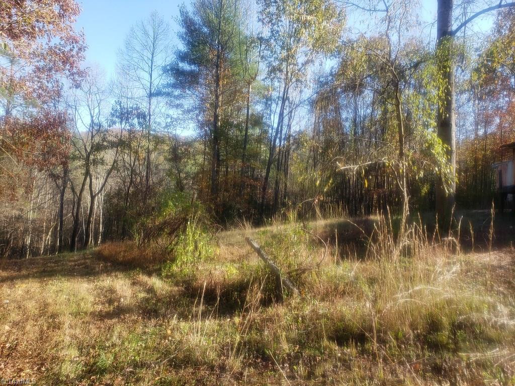 1576 Boone Gap Road Boomer, NC 28606 - Photo 9 of 22 Gallery Image 9