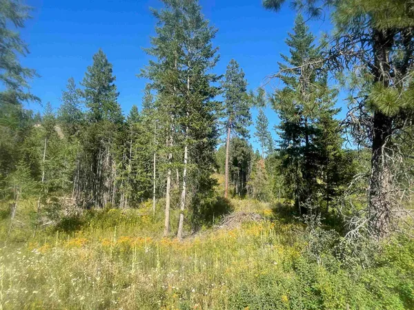 $195,000 | Nkn Bead Lake Road, Oldtown, ID 83822