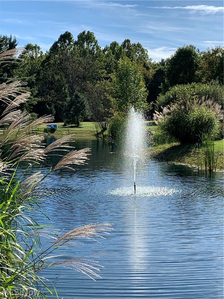 6436 Neff Road Valley City, OH 44280 - Photo 23 of 35 Fountain in pond
