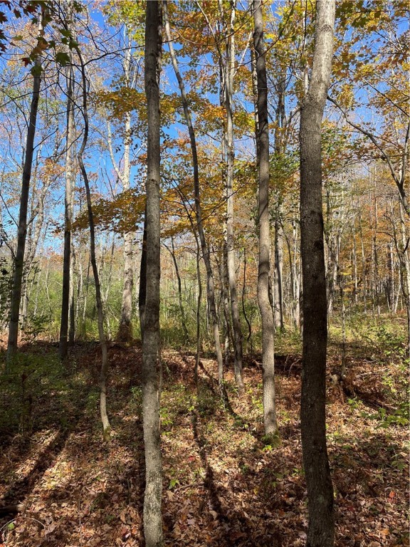 2-57 Hornbeck Road Harpersfield, NY 13786 - Photo 11 of 12