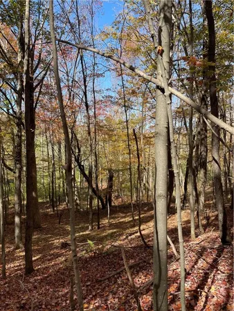 $120,000 | 2-57 Hornbeck Road, Harpersfield, NY 13786