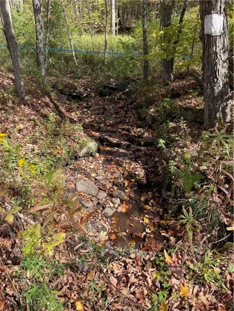 $120,000 | 2-57 Hornbeck Road, Harpersfield, NY 13786