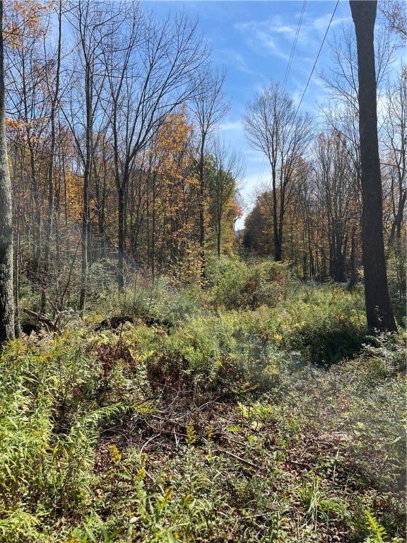 2-57 Hornbeck Road Harpersfield, NY 13786 - Photo 4 of 12