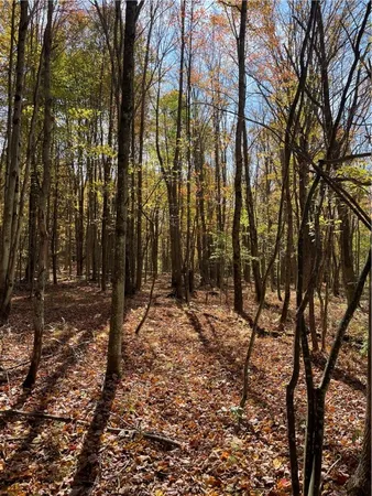 $120,000 | 2-57 Hornbeck Road, Harpersfield, NY 13786