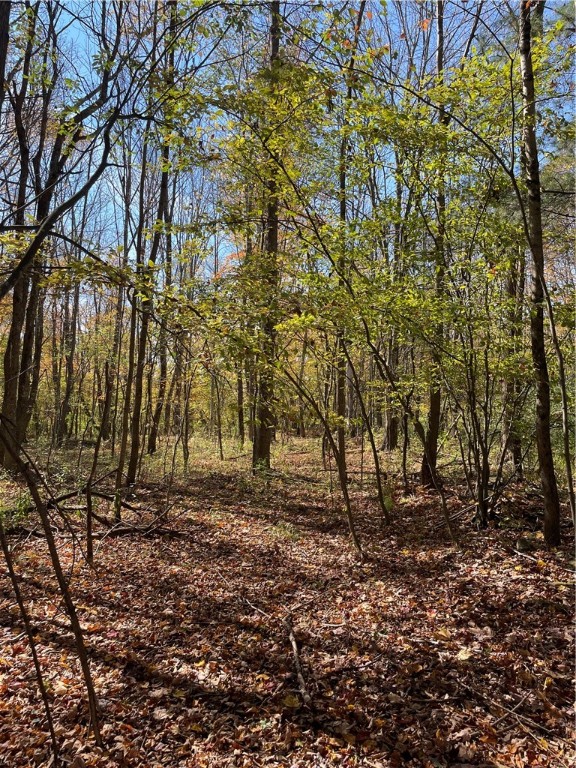 2-57 Hornbeck Road Harpersfield, NY 13786 - Photo 8 of 12