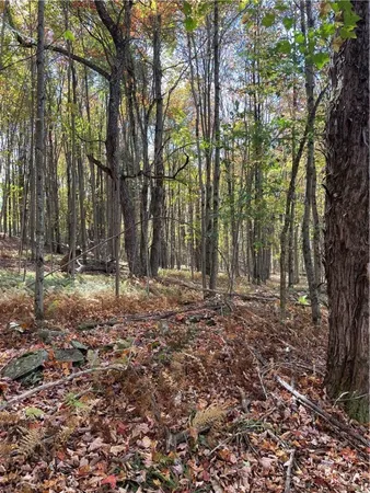 $120,000 | 2-57 Hornbeck Road, Harpersfield, NY 13786