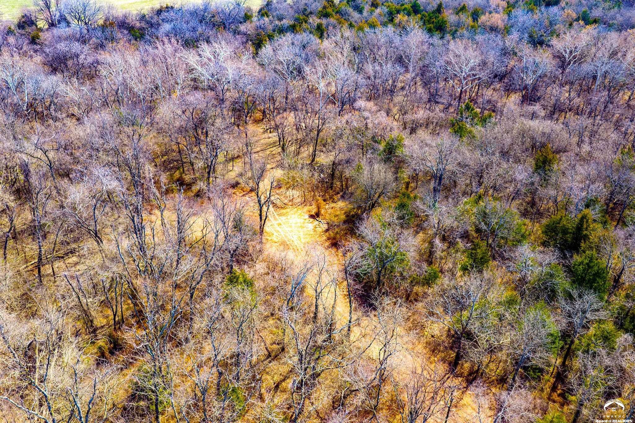 24091 Linwood Road Linwood, KS 66052 - Photo 12 of 31