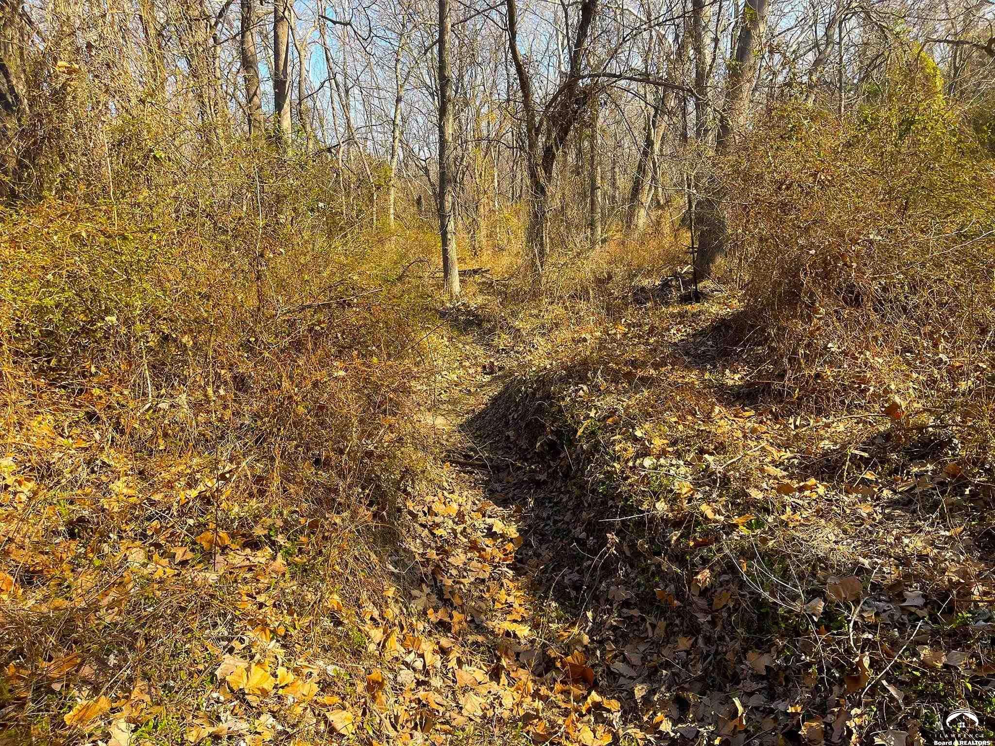 24091 Linwood Road Linwood, KS 66052 - Photo 25 of 31