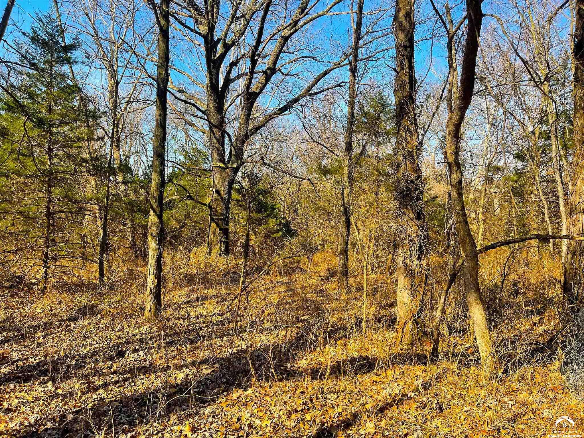 24091 Linwood Road Linwood, KS 66052 - Photo 26 of 31