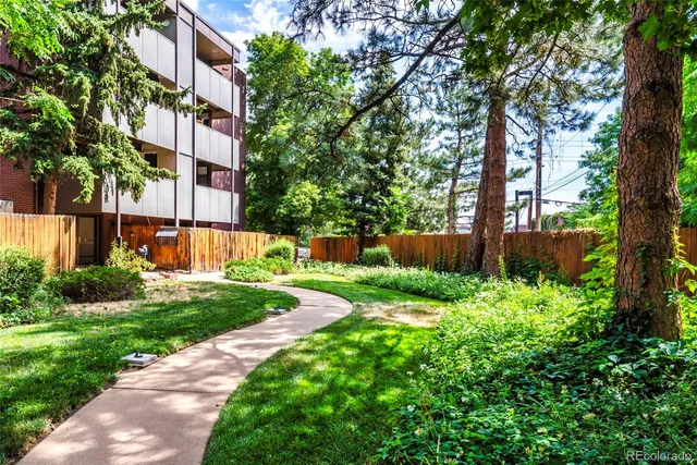 a view of backyard with garden and trees