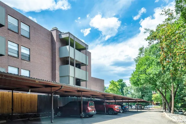 a view of garden with plants and trees