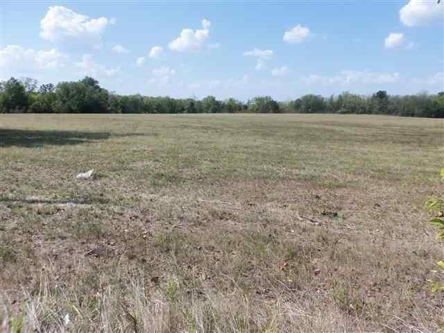 a view of an ocean beach and mountain