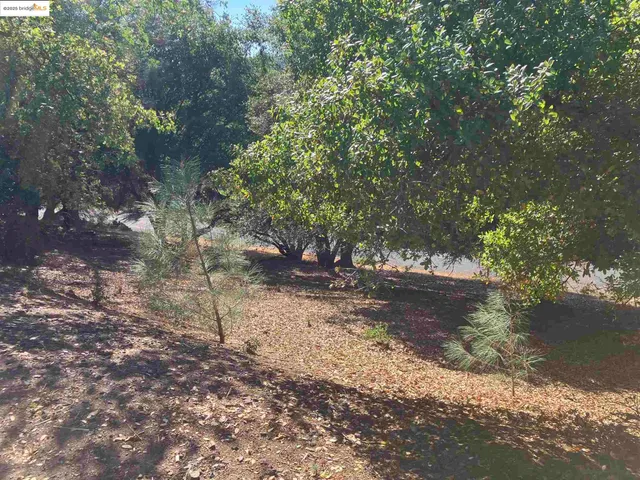 a view of a yard with a tree