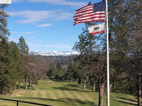 a view of a tree with a yard