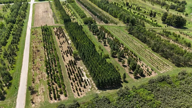 770 Hill Road, McMinnville, TN 37110