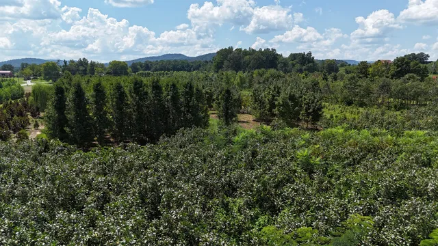 770 Hill Road, McMinnville, TN 37110