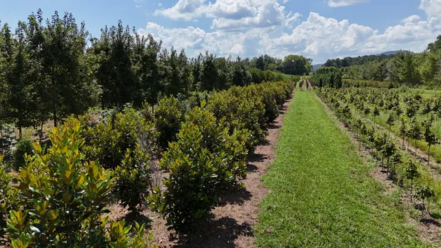 770 Hill Road, McMinnville, TN 37110