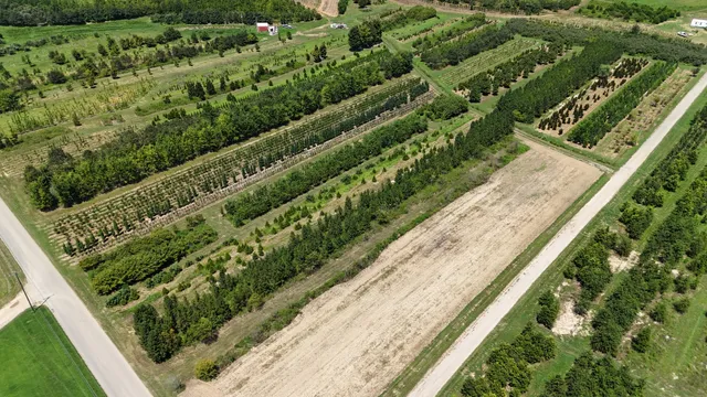 770 Hill Road, McMinnville, TN 37110