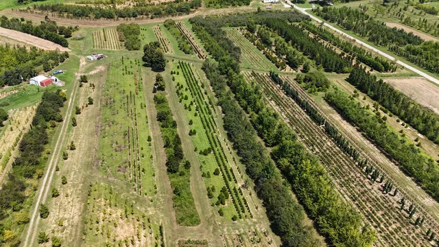 770 Hill Road, McMinnville, TN 37110