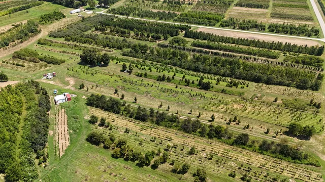 770 Hill Road, McMinnville, TN 37110