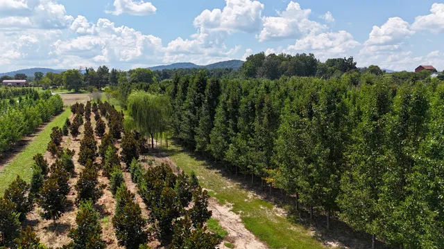 770 Hill Road, McMinnville, TN 37110