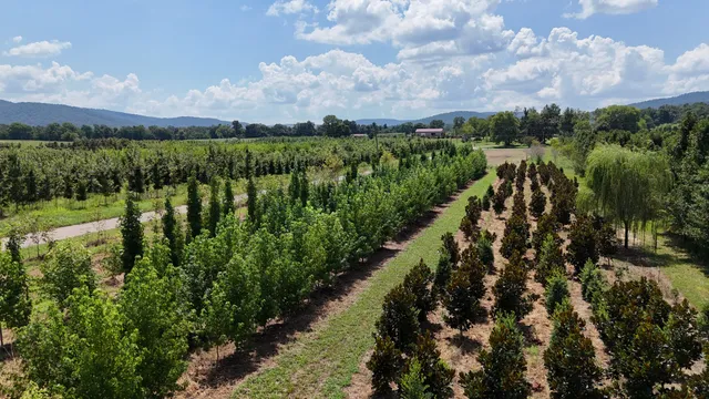 770 Hill Road, McMinnville, TN 37110