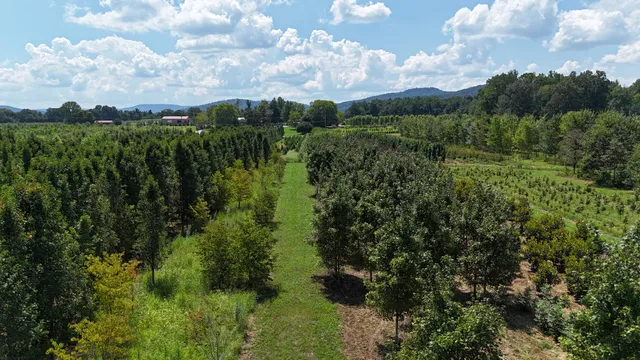 770 Hill Road, McMinnville, TN 37110