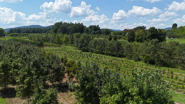 770 Hill Road, McMinnville, TN 37110