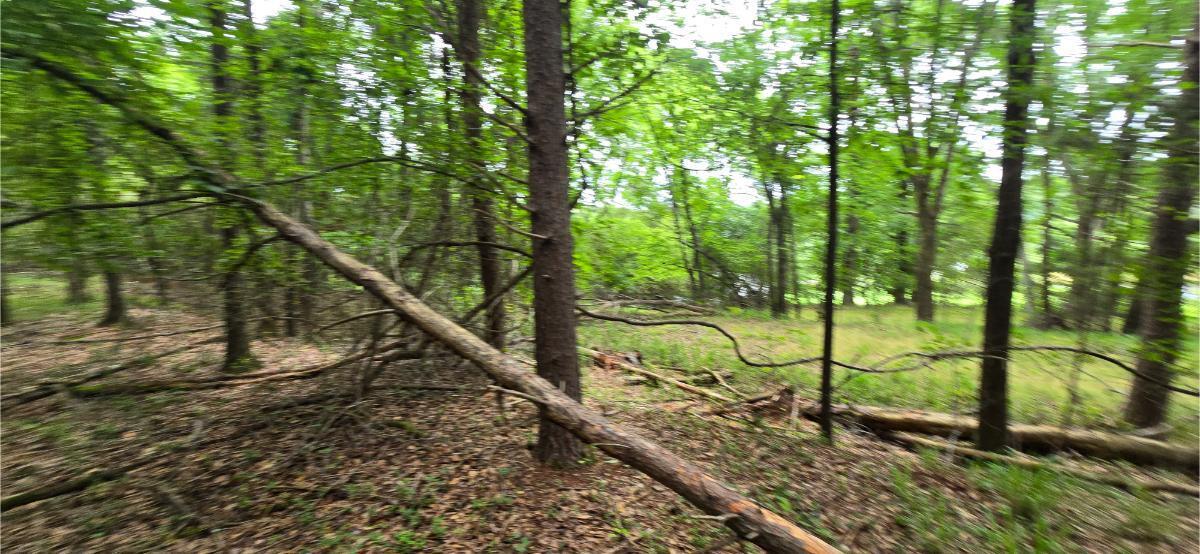 0 Ridge Road Southwest Cave Spring, GA 30124 - Photo 17 of 20 20260618_124314