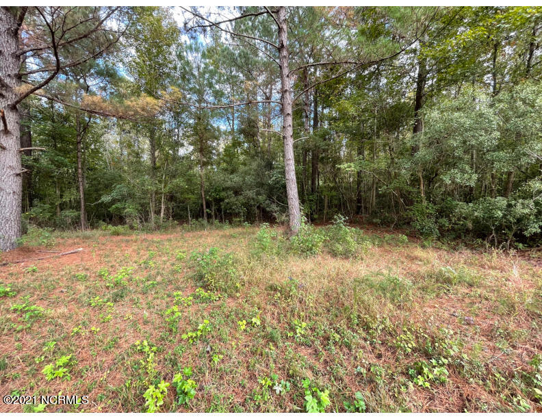 771 Dothan Road Tabor City, NC 28463 - Photo 3 of 8 nc:janice:4-photo
