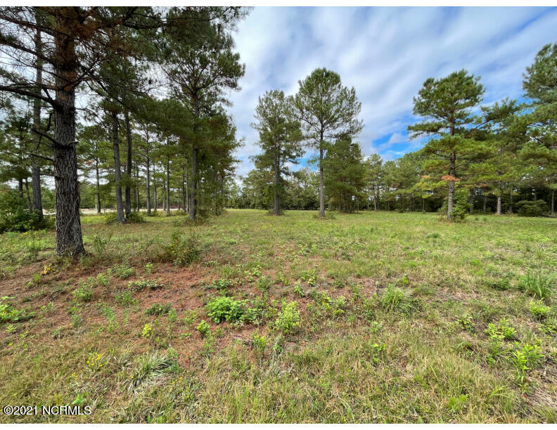 771 Dothan Road Tabor City, NC 28463 - Photo 5 of 8 nc:janice:*3-photo