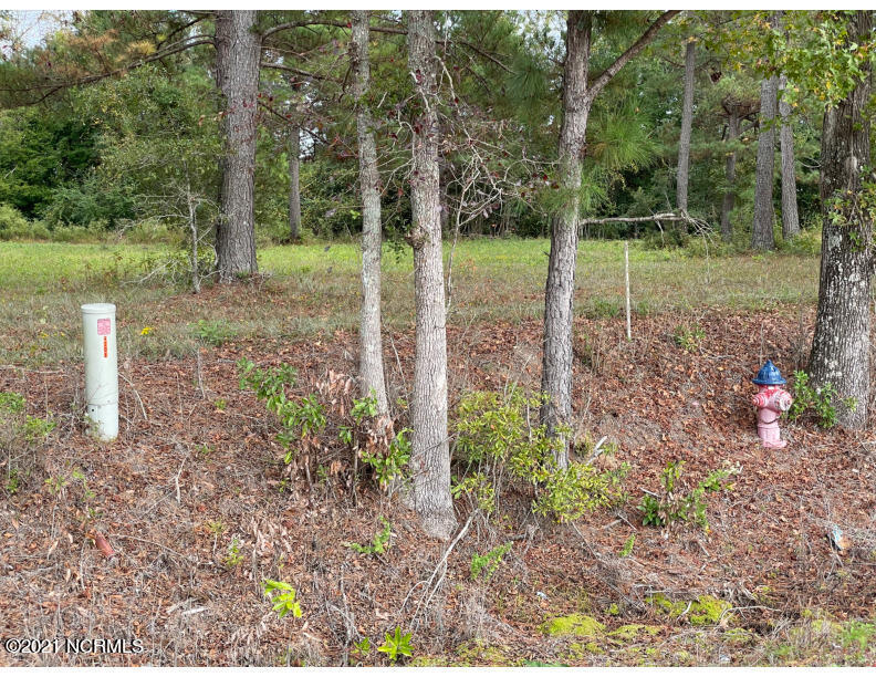 771 Dothan Road Tabor City, NC 28463 - Photo 7 of 8 nc:janice:*6-photo