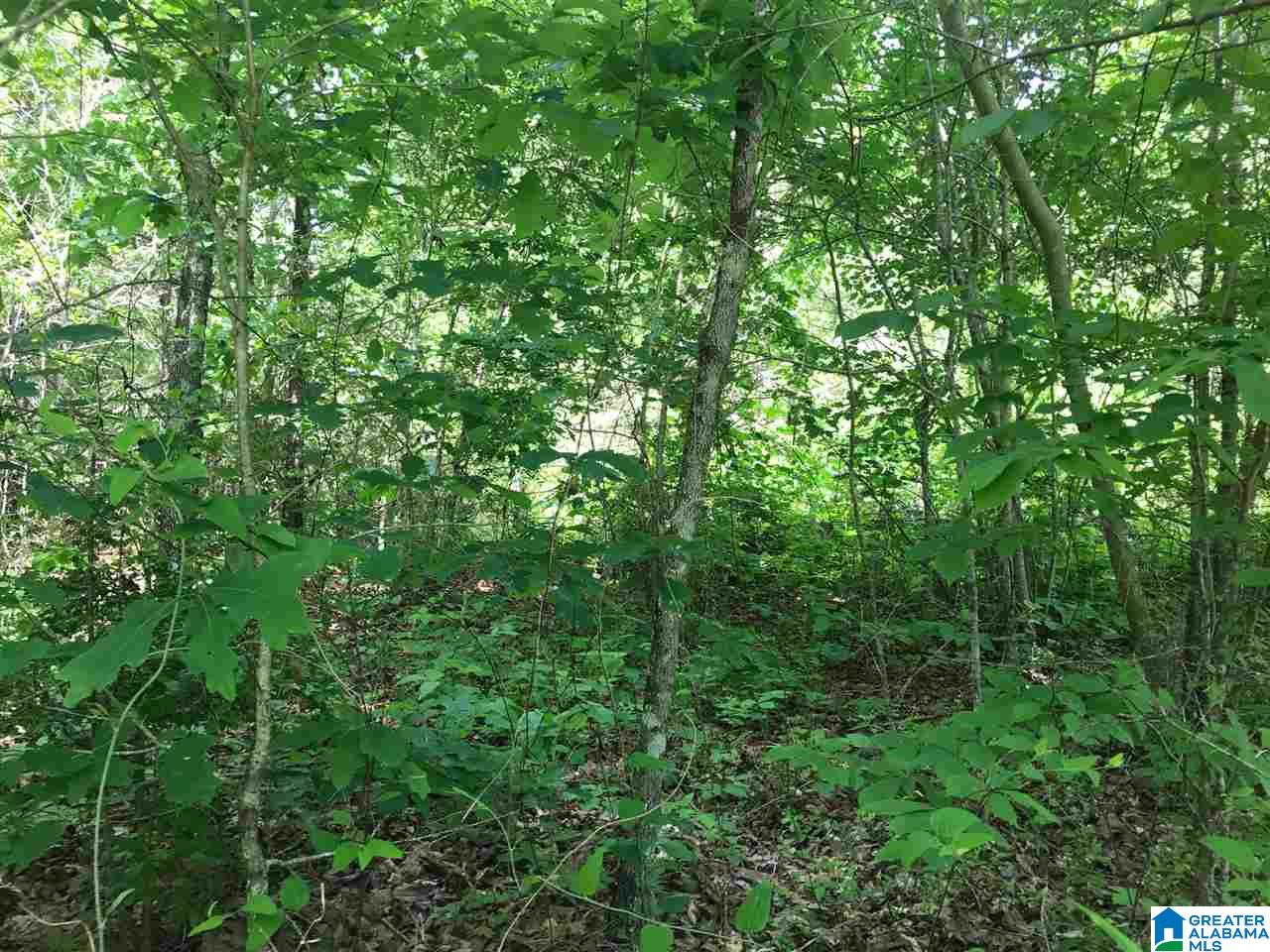 Firehouse Road, Unit 21 Goodwater, AL 35072 - Photo 13 of 21