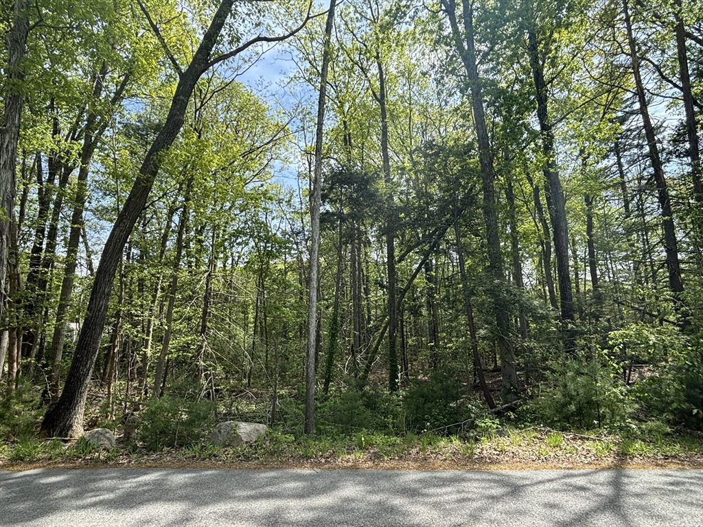 0 Mt Blue Street Norwell, MA 02061 - Photo 1 of 1