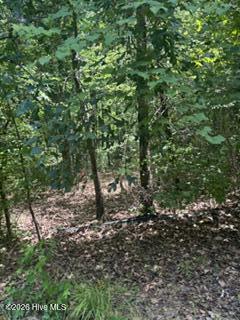 Tbd Boling Way Carthage, NC 28327 - Photo 3 of 4