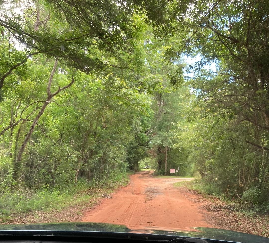 85 County Road 85 Robertsdale, AL 36567 - Photo 6 of 6