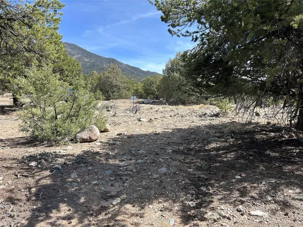 a view of a road with a trees