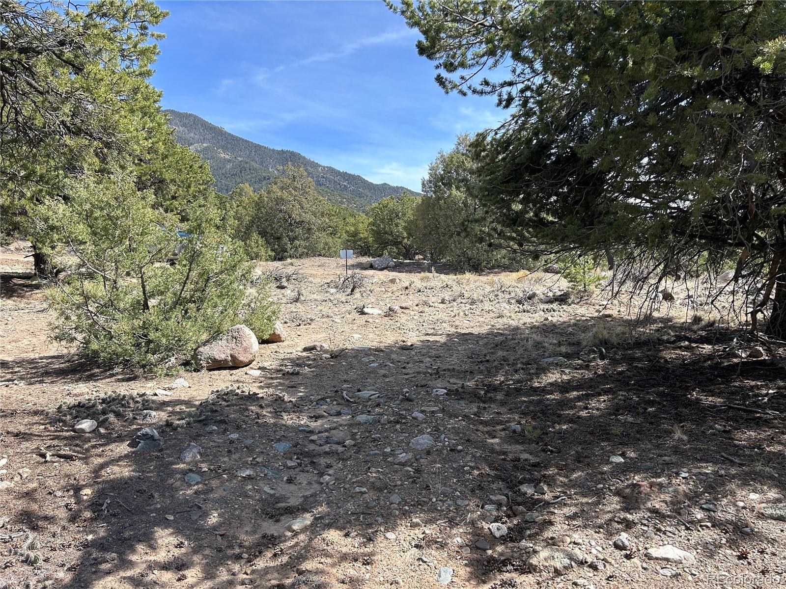 a view of a road with a trees