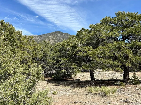 a view of a large tree with a yard