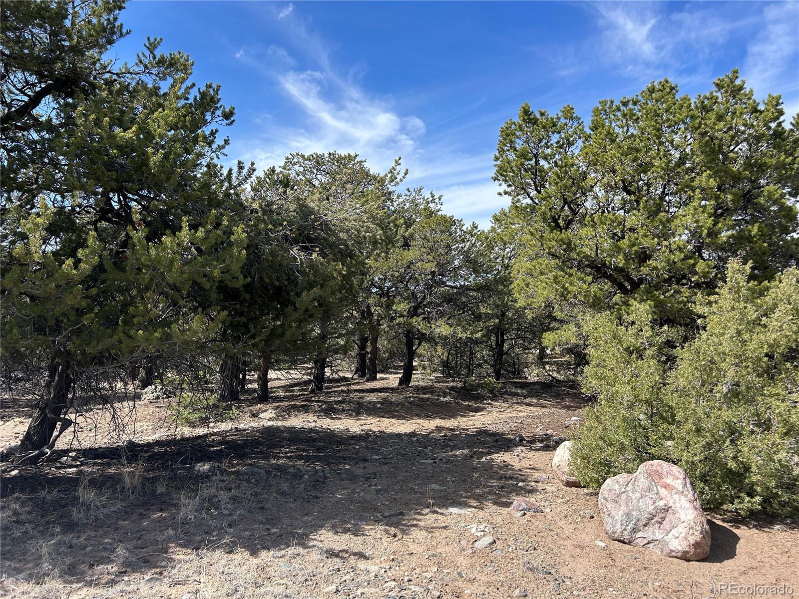 3545 Fallen Tree Place Crestone, CO 81131 - Photo 3 of 7 a view of outdoor space with trees