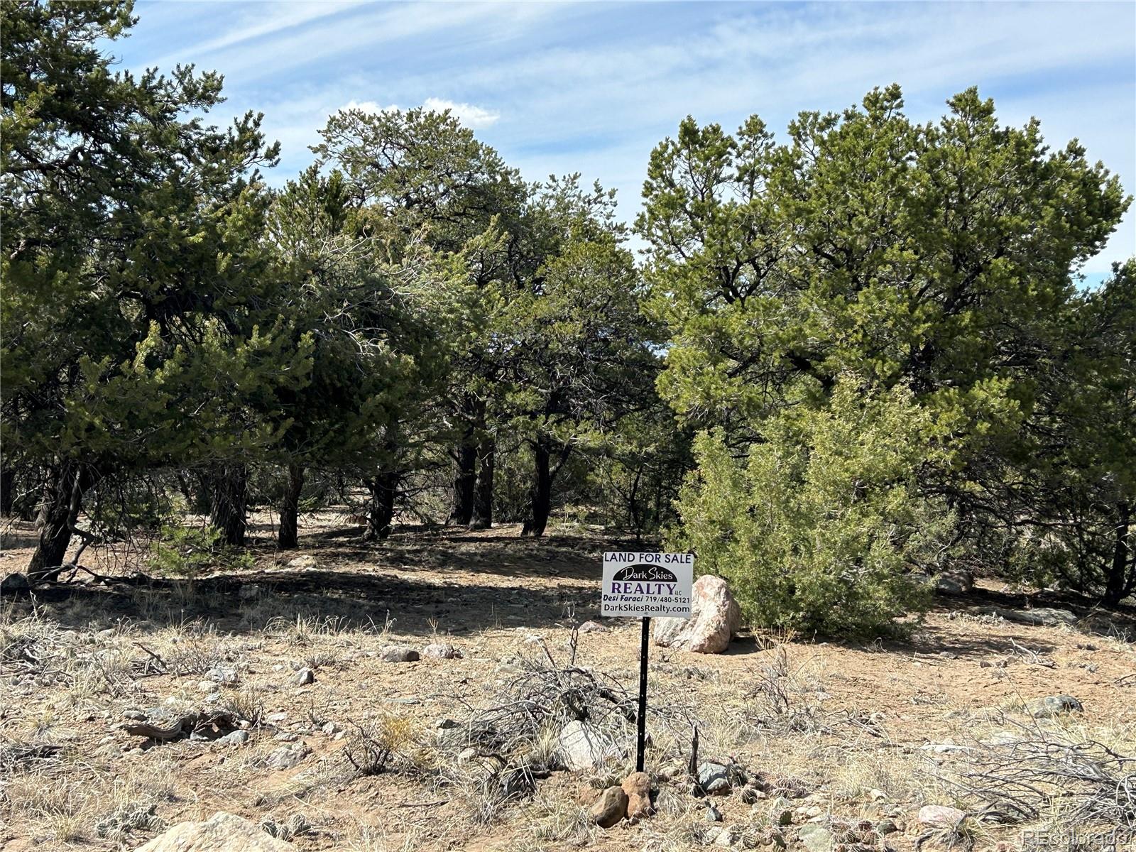 3545 Fallen Tree Place Crestone, CO 81131 - Photo 5 of 7 a backyard of a house with lots of green space