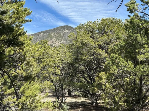 a view of a dry yard covered with snow in the background