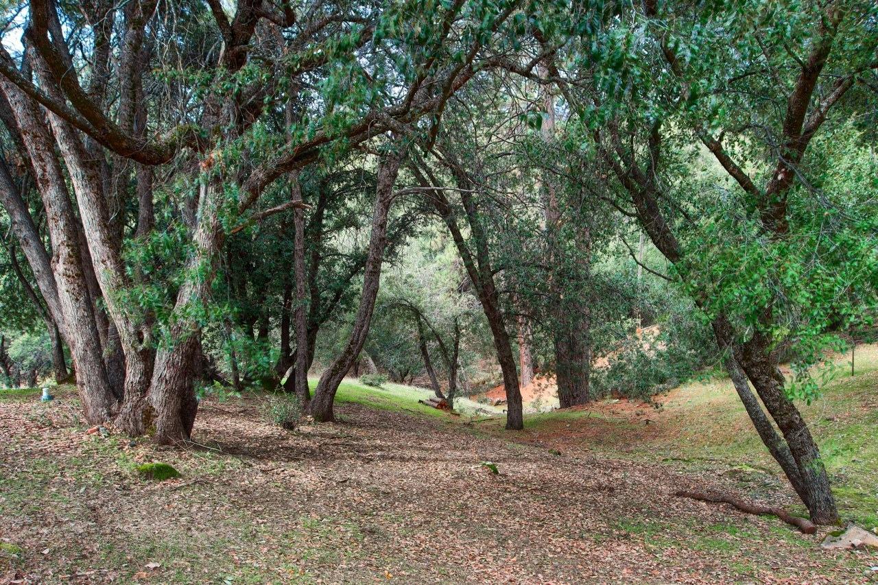 2349 Rainbow Road Mariposa, CA 95338 - Photo 33 of 38 Gallery Image 33
