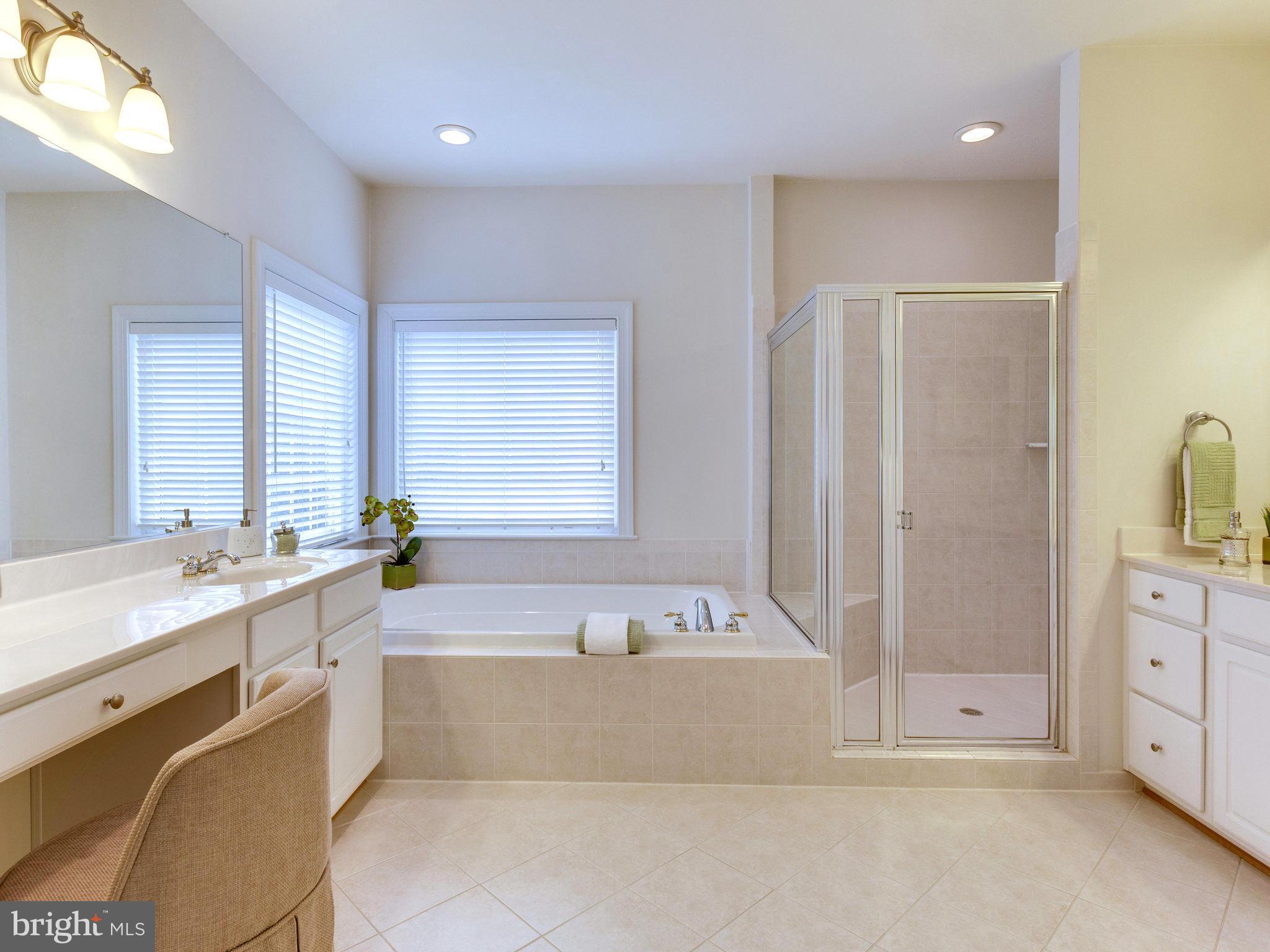 1163 Markell Court Reston, VA 20194 - Photo 20 of 30 Bath (Master)