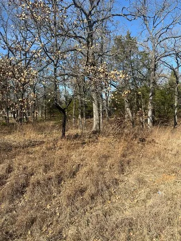 a view of a tree in the middle of a yard