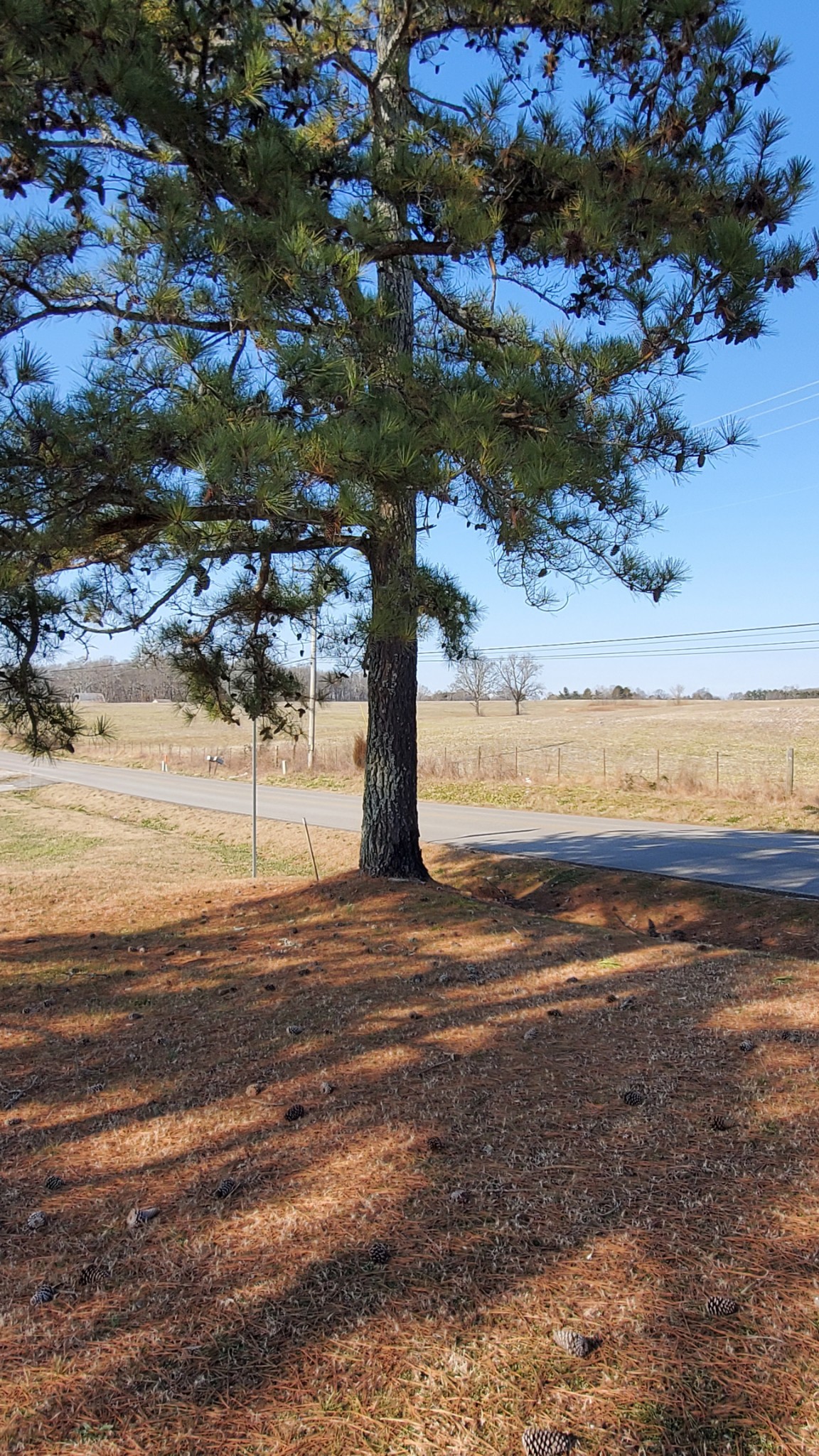 2073 Fall River Road Leoma, TN 38468 - Photo 33 of 44 a view of ocean view with beach