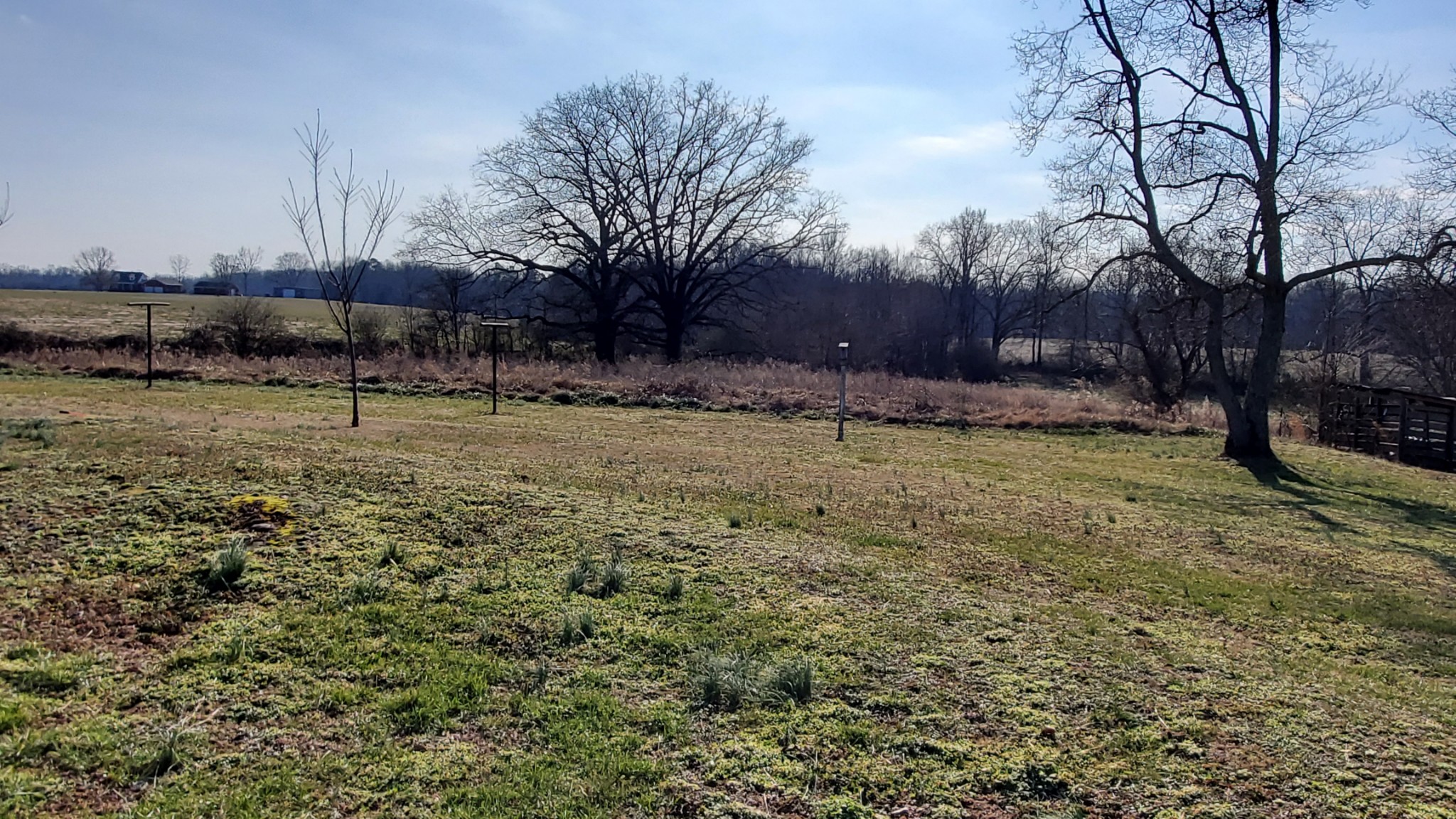 2073 Fall River Road Leoma, TN 38468 - Photo 37 of 44 a backyard of a house with lots of green space